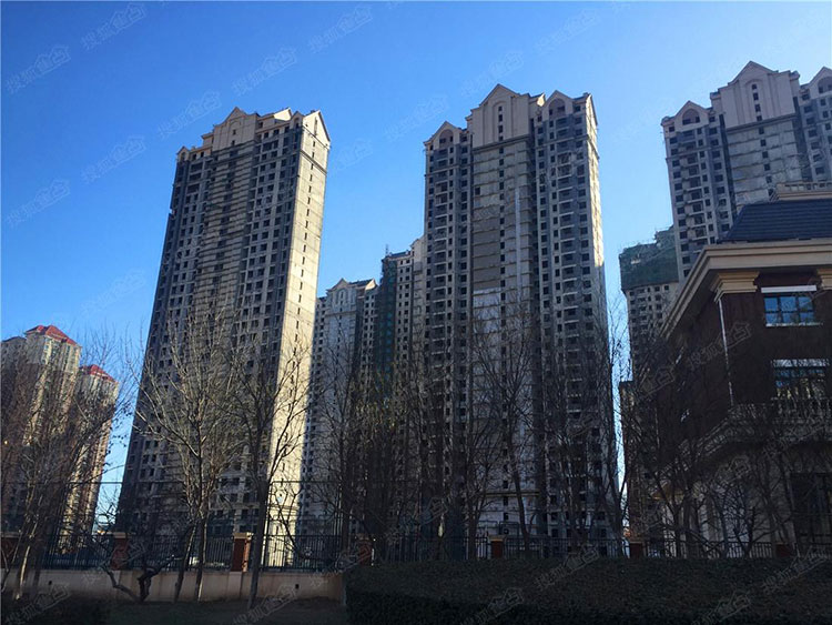 pp���ӡ�ģ����(������Ϸ)�ٷ���վ