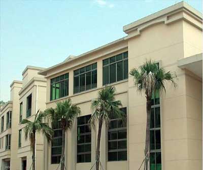 pp���ӡ�ģ����(������Ϸ)�ٷ���վ