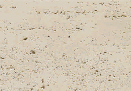 pp���ӡ�ģ����(������Ϸ)�ٷ���վ