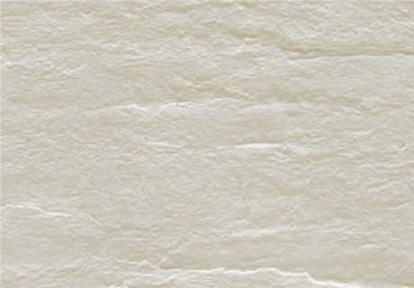 ppµç×Ó¡¤Ä£ÄâÆ÷(ÊÔÍæÓÎÏ·)¹Ù·½ÍøÕ¾