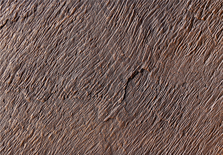 pp���ӡ�ģ����(������Ϸ)�ٷ���վ