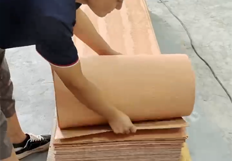 pp���ӡ�ģ����(������Ϸ)�ٷ���վ