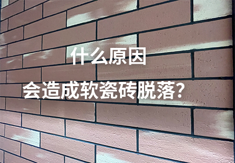 pp���ӡ�ģ����(������Ϸ)�ٷ���վ