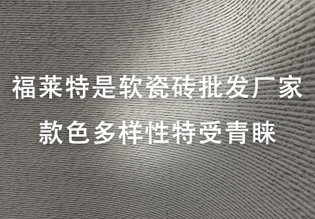 pp���ӡ�ģ����(������Ϸ)�ٷ���վ