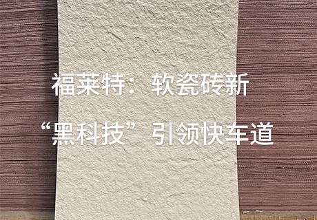 pp���ӡ�ģ����(������Ϸ)�ٷ���վ