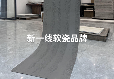 pp���ӡ�ģ����(������Ϸ)�ٷ���վ